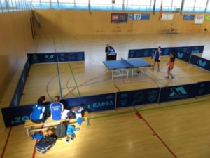 divisió d'honor femenina tramuntana